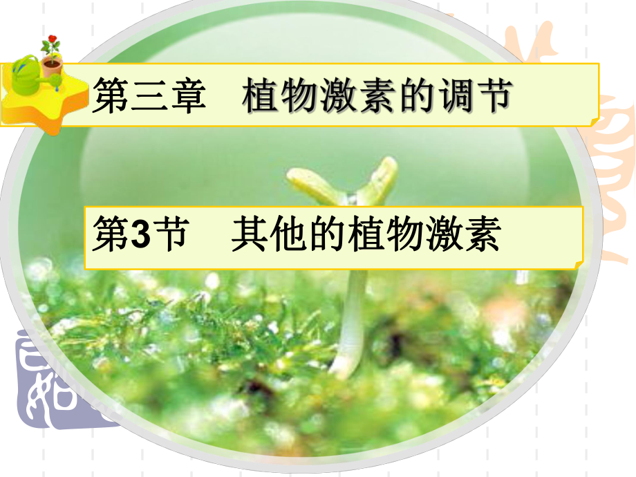 人教版高中生物必修三其他植物激素名师公开课市级获奖课件.ppt_第3页