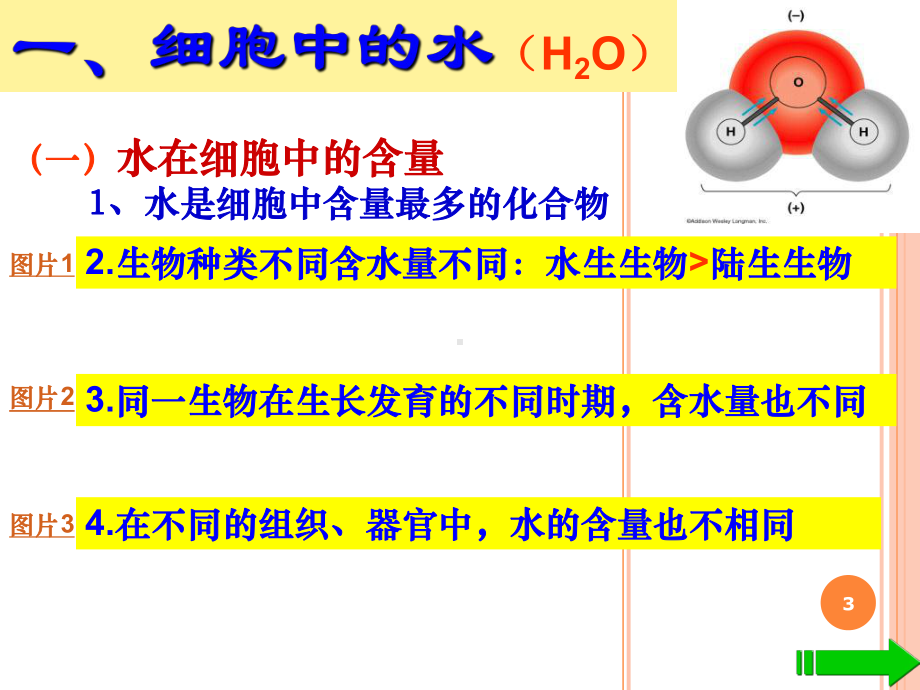 细胞中的无机物》课件(人教版必修1)上课用.ppt_第3页