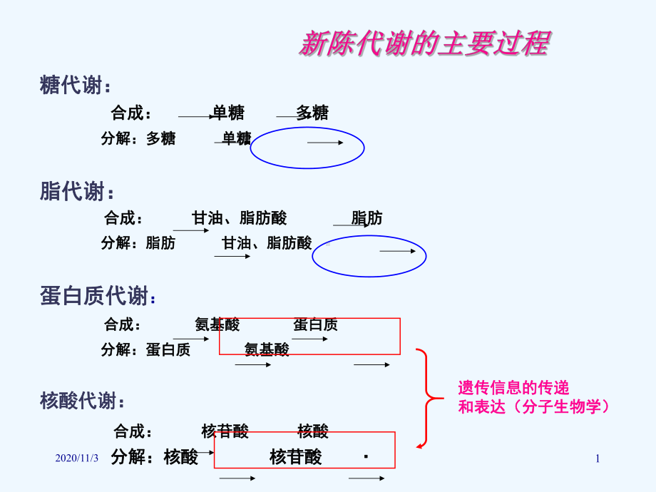 南大生化课件糖酵解.ppt_第1页