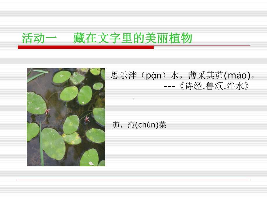 《生物学与文学-寄予植物的情怀》PPT课件.ppt_第3页