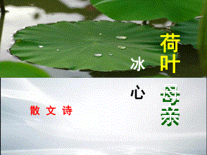 《荷叶母亲》公开课课件(最新整理).ppt.ppt