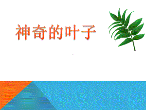 《神奇的叶子》植物生活的秘密PPT优秀课件.pptx