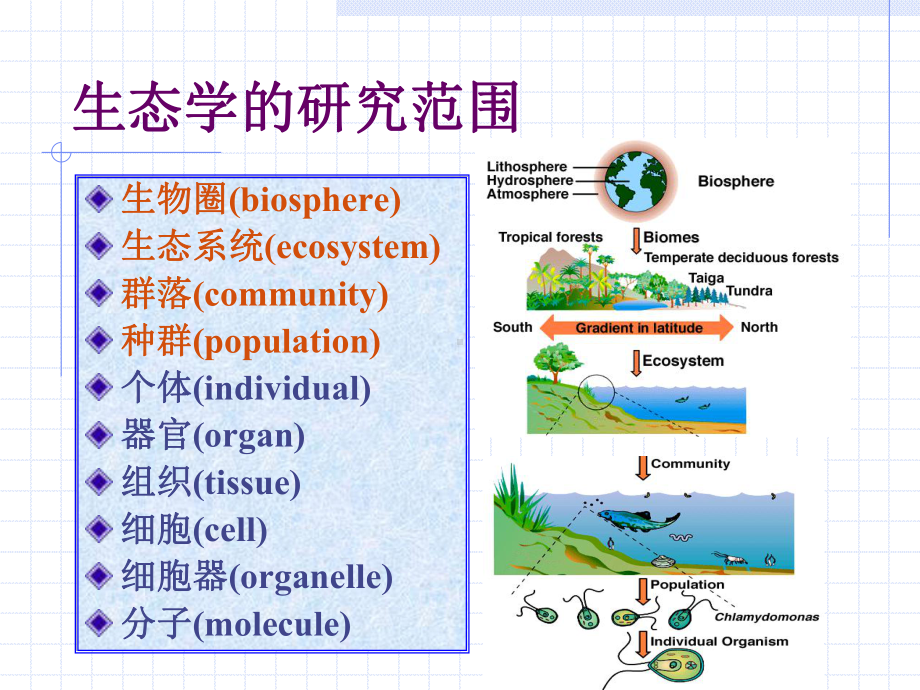 华理微生物专业课课件9.ppt_第2页