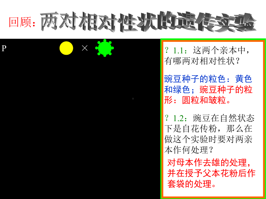 人教版高中生物必修二-孟德尔的豌豆杂交实验(二)-名师公开课省级获奖课件(29张).ppt_第3页