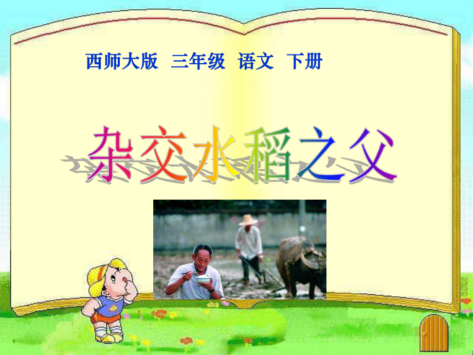 杂交水稻之父-PPT精品教学课件.ppt_第1页