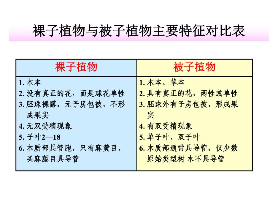 树木学各论第一章裸子植物-ppt课件.ppt_第3页