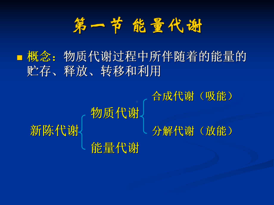 能量和代谢 ppt课件.ppt_第3页