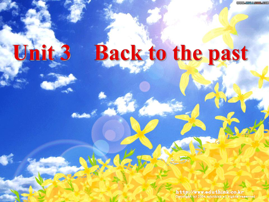 英语：Unit3-Back-to-the-past-课件(牛津译林必修3).ppt（无音视频）_第2页