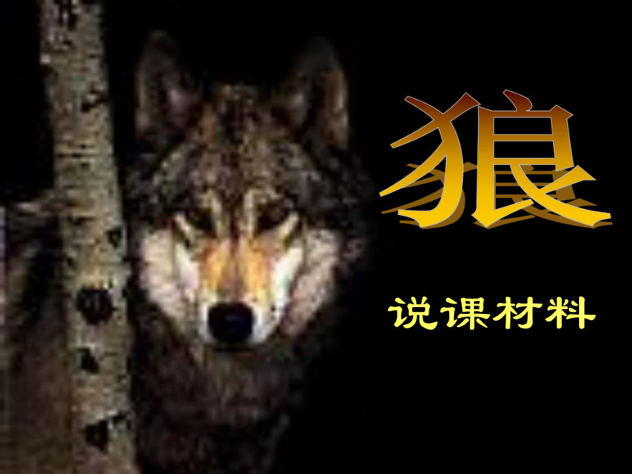 狼PPT课件93(说课)-人教版-(共20张PPT).ppt_第1页