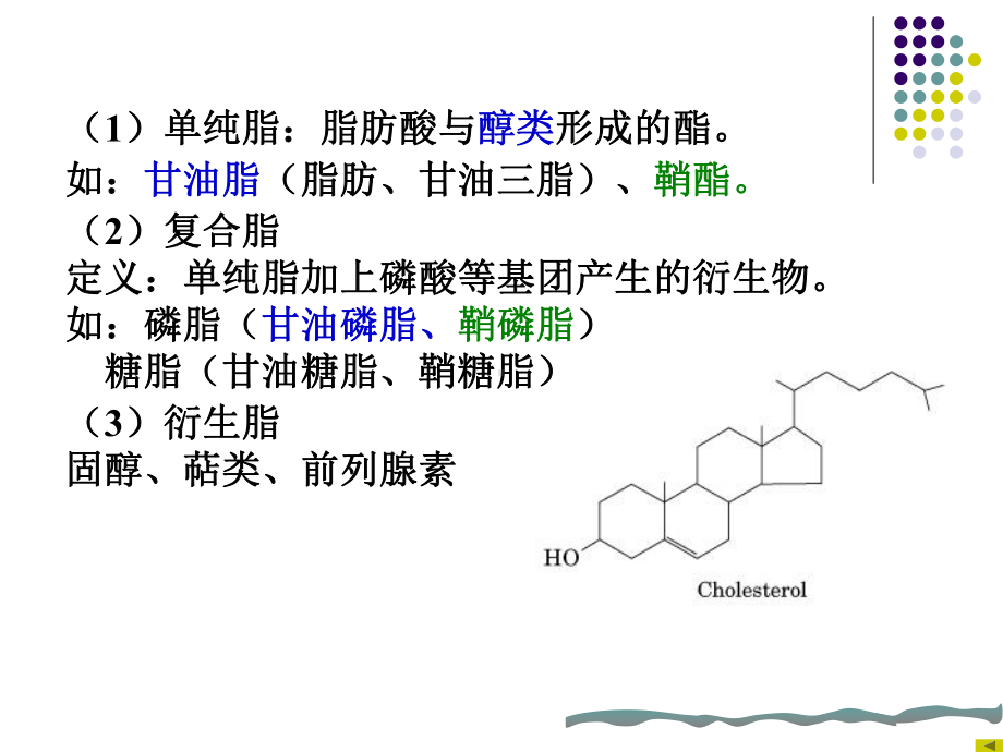 中南大学生物化学课件糖代谢.ppt_第2页