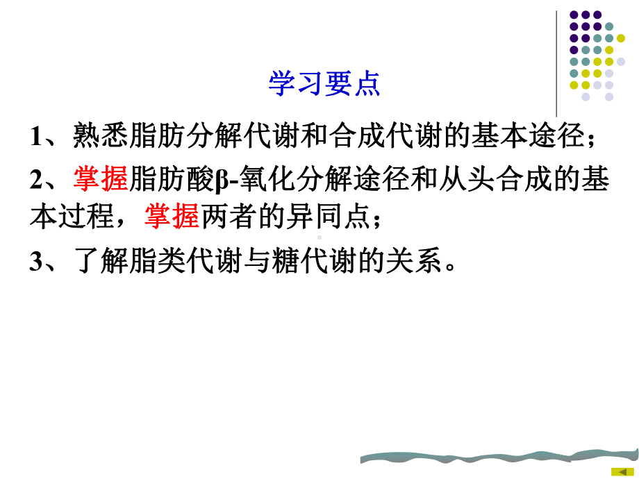 中南大学生物化学课件糖代谢.ppt_第3页