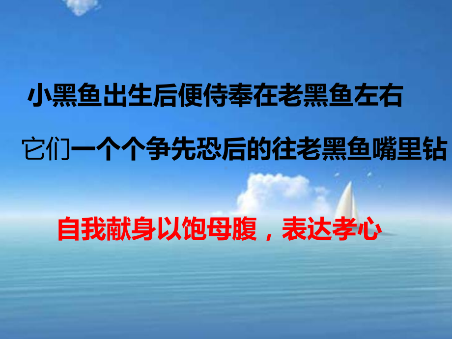 母爱的故事PPT课件.ppt_第3页