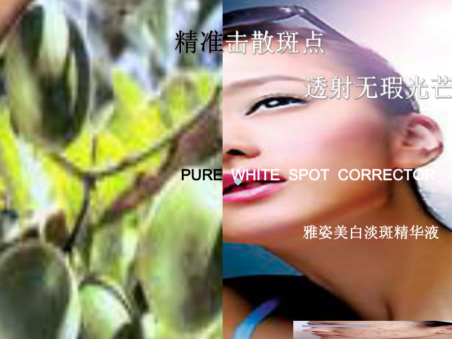 雅姿美白淡斑精华液培训课件.ppt_第1页