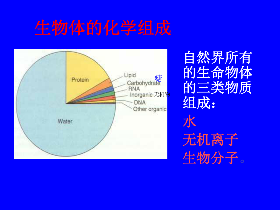 生物化学课件糖代谢1.pptx_第3页