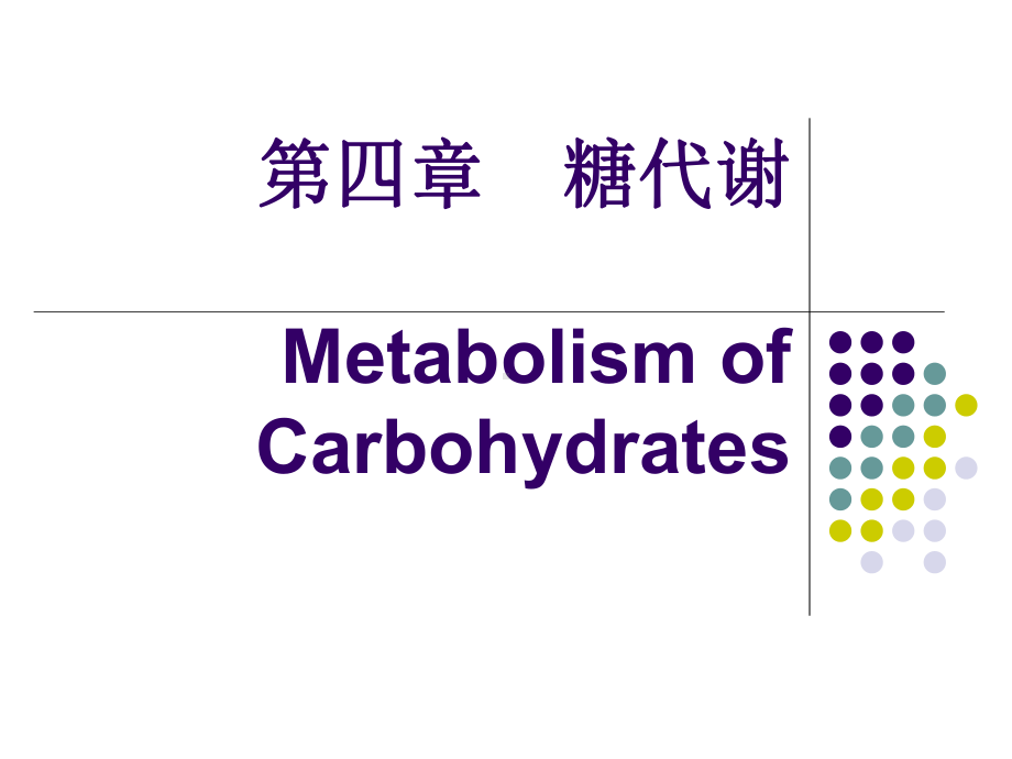 《生物化学精品课件》04糖代谢.ppt_第1页