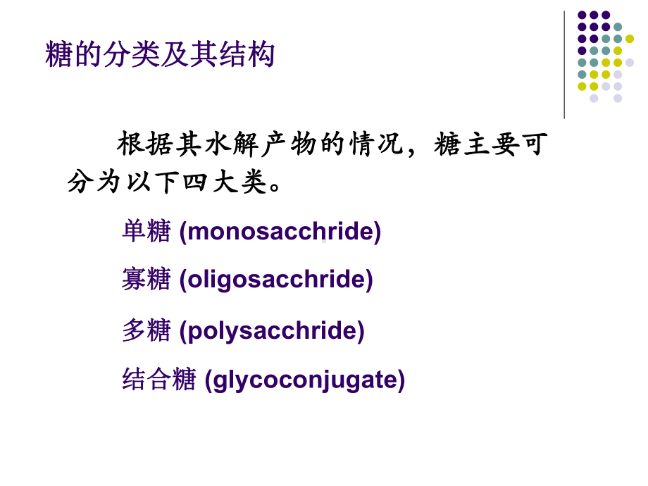 《生物化学精品课件》04糖代谢.ppt_第3页