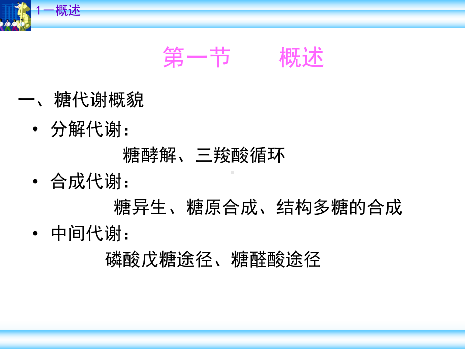 江苏大学食品与生物工程学院生物化学课件第十一章糖代谢.ppt_第2页