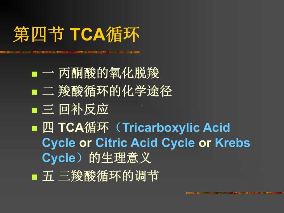 生物化学糖代谢2课件-TCAcycle.ppt_第1页