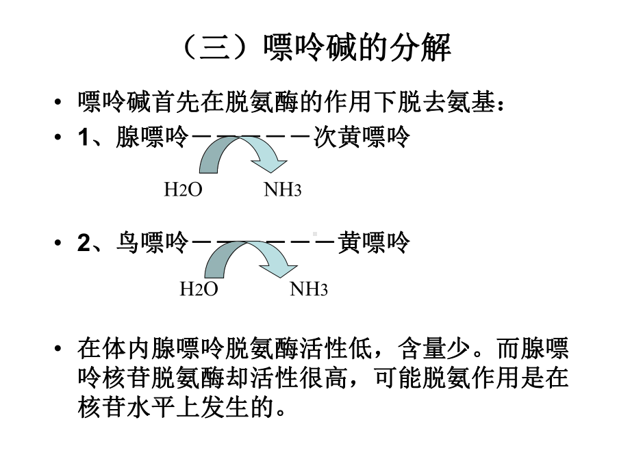 王镜岩生化第三版考研课件 核酸的降解和核苷酸代谢.ppt_第3页