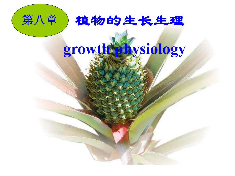 第八章-植物的生长生理-PPT课件.ppt_第1页