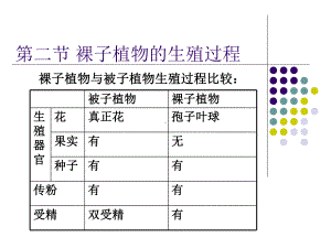 （林学课件）裸子植物的生殖过程.ppt