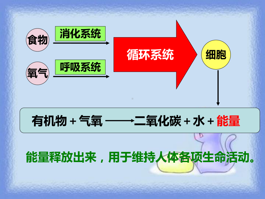 第10章《第五节 人体能量的供给》课件4.ppt_第3页