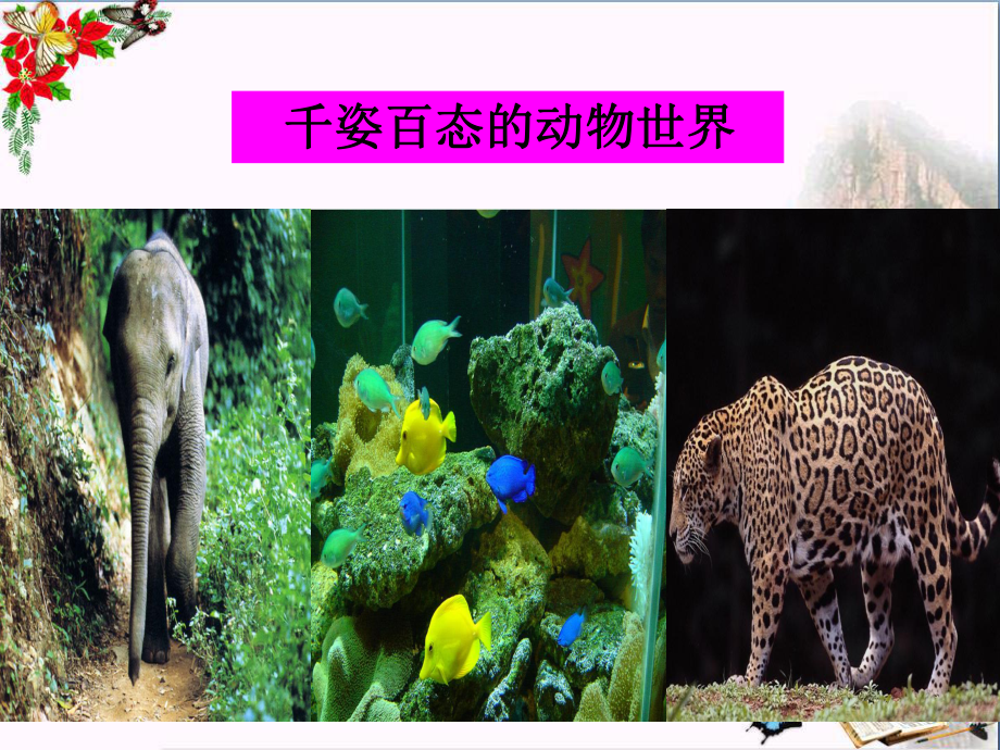 美丽多样的生命PPT精品课件3-粤教版.ppt_第3页