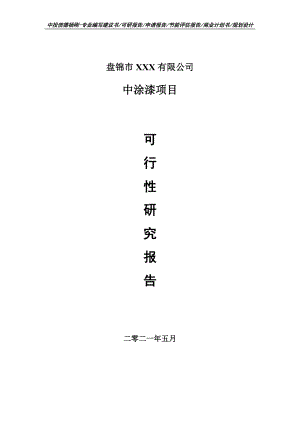 中涂漆建设项目可行性研究报告申请报告案例.doc