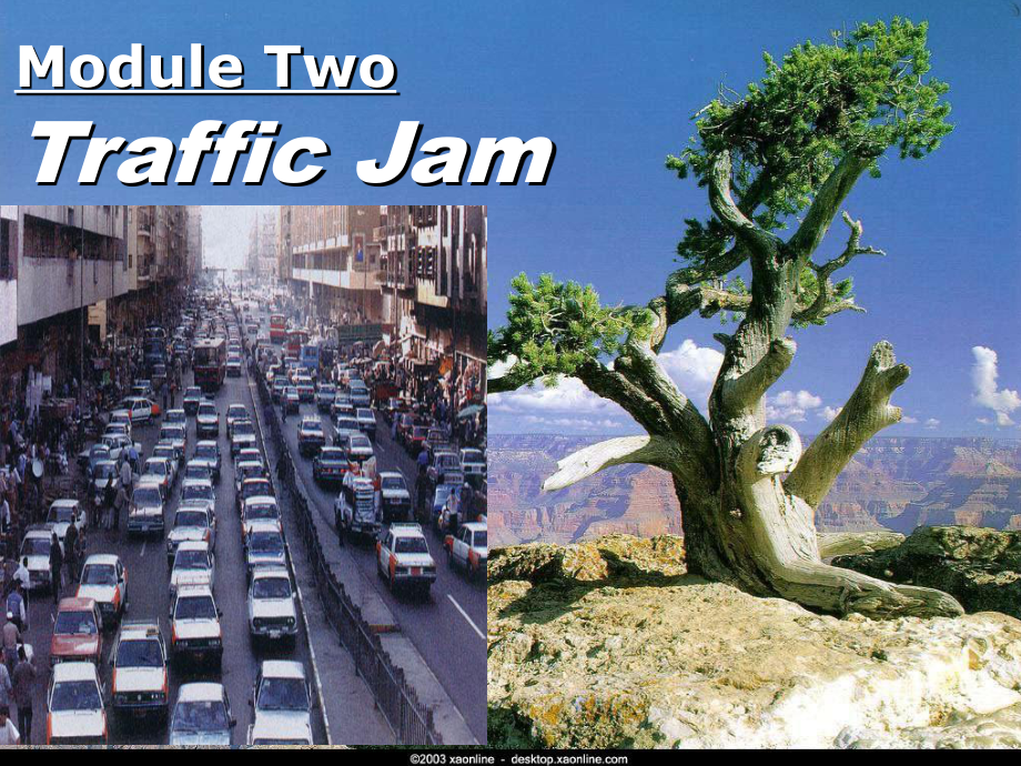 高一英语必修4教学课件module2-Traffic-jam.ppt（无音频视频）_第1页