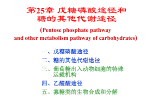 生物化学第25章兰州大学经典课件戊糖磷酸途径和糖的其他代谢途径.ppt