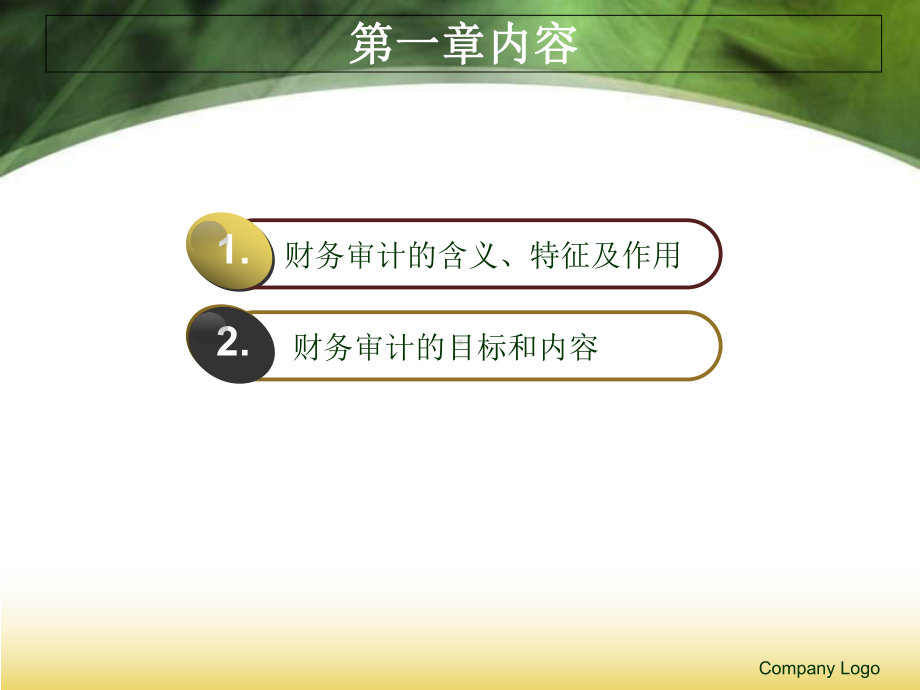 财务审计课件(PPT-136页).ppt_第3页