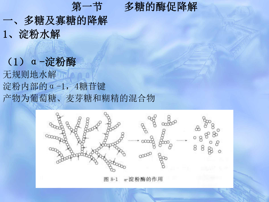 [生物化学课件]第八章--糖代谢.ppt_第2页