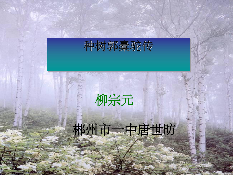 种树郭橐驼传课件全面版.ppt_第1页