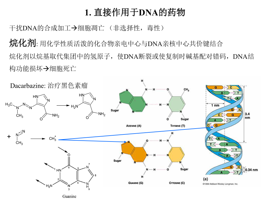 抗癌药物Anticancer drugs-PPT课件.ppt_第3页