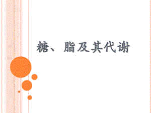 《食品生物化学教学课件》糖、脂及其代谢.ppt