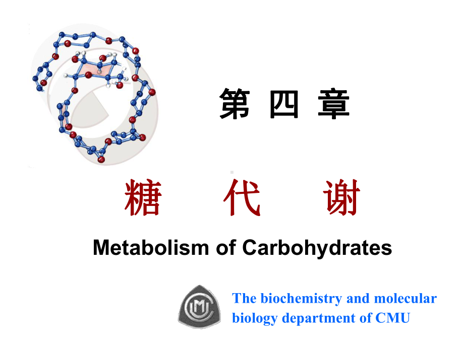 生物化学讲义课件第四章糖代谢精要.ppt_第1页