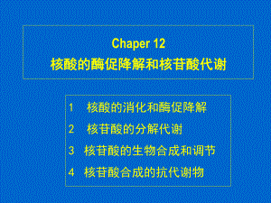 （精品课件教案ppt） chaper 12 核酸的酶促降解和核苷酸代谢.ppt