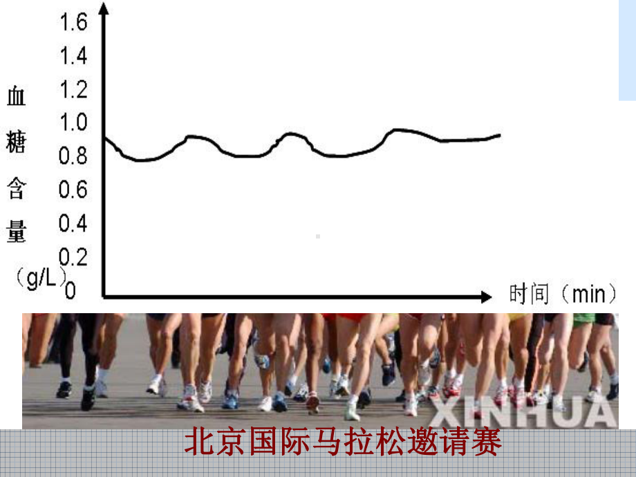 胰岛素胰高血糖素 ppt课件.ppt_第1页