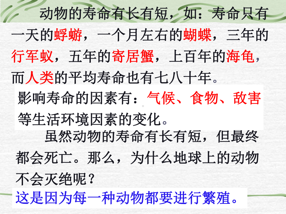 浙教版七年级科学下册-1.3动物的生长时期-课件4.ppt_第3页