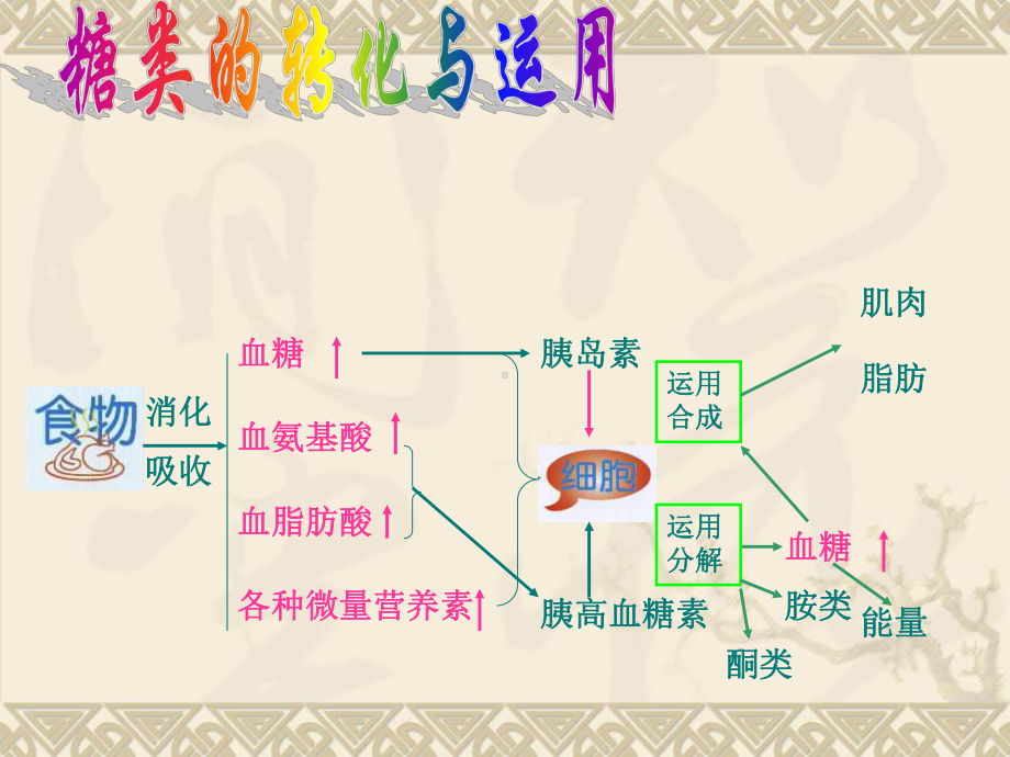 血糖与营养-PPT课件.ppt_第2页