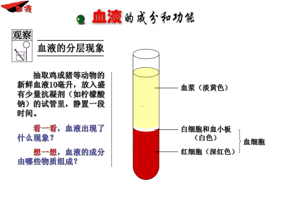 2013年人教版新课标七年级生物血液ppt课件.ppt_第3页