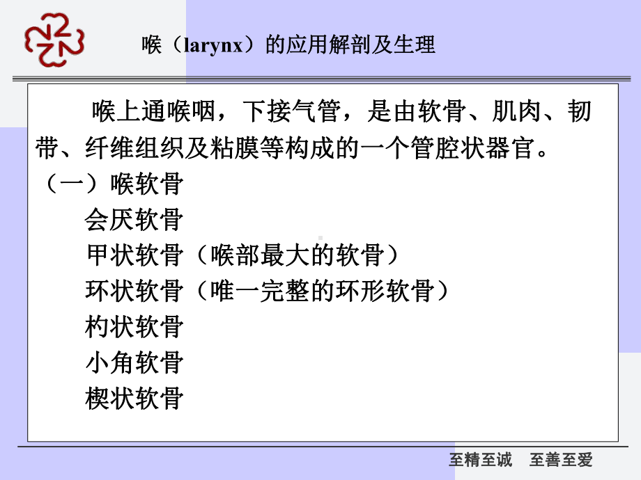 喉部疾病及气管切开课件.ppt_第2页