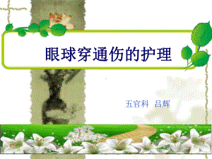 眼球穿通伤PPT课件.ppt.ppt