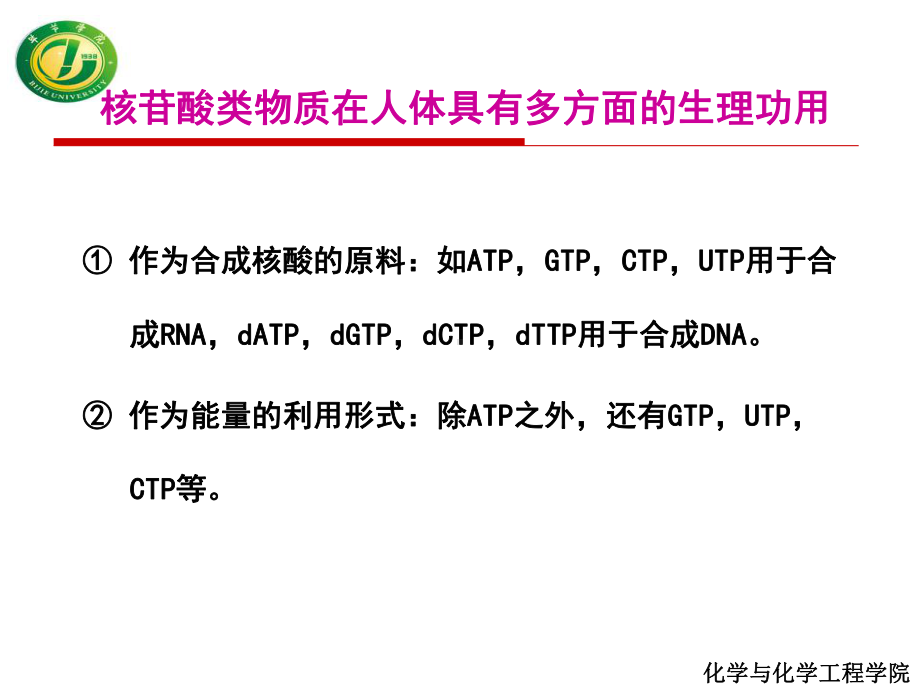 核酸代谢课件.ppt_第2页