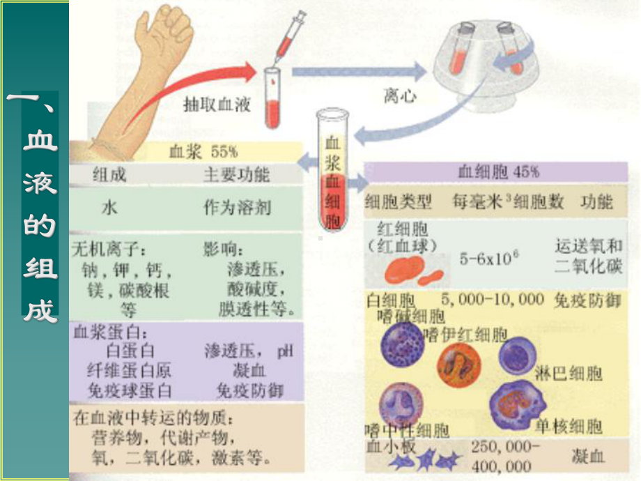 血浆血清全血的区别-PPT课件.ppt_第3页