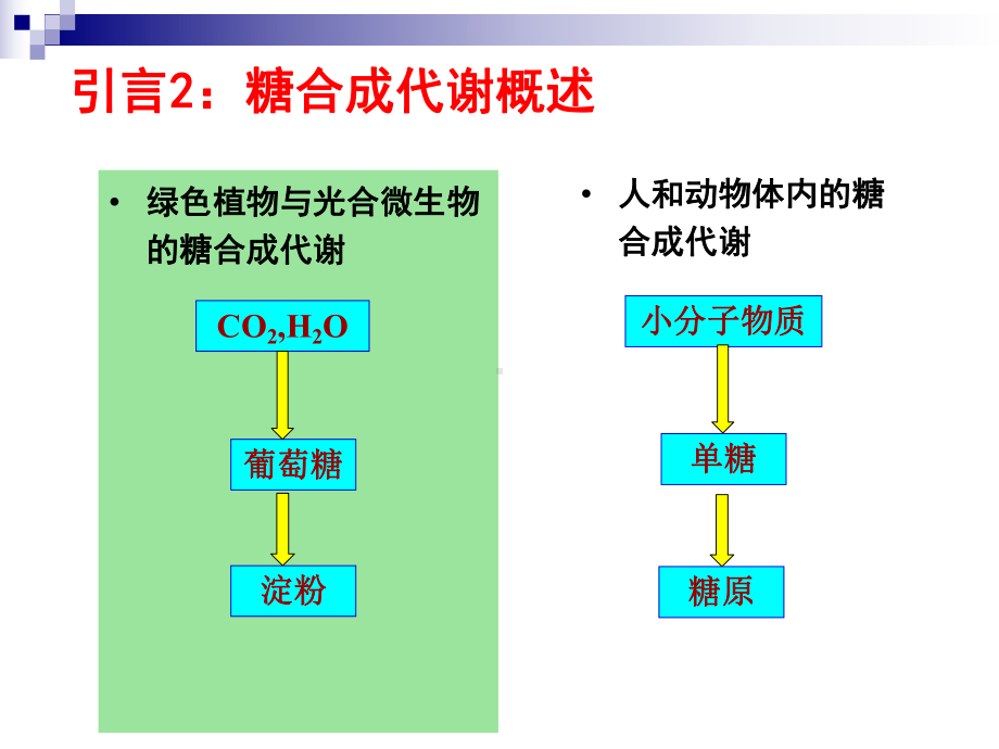 生物化学糖代谢授课课件2016年6月9日222 - 副本.ppt_第3页