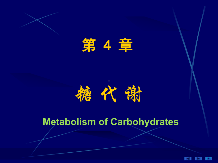 （生物化学教学课件）第04章糖代谢（09医本）.ppt_第1页