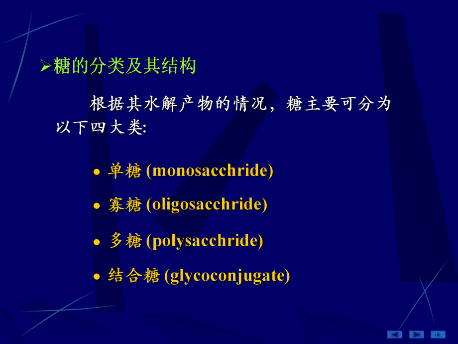 （生物化学教学课件）第04章糖代谢（09医本）.ppt_第3页