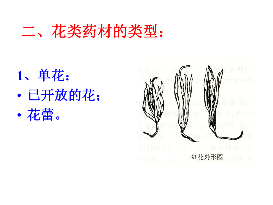 （中药鉴定学课件）-第九章-花类药材精品下载.ppt_第3页