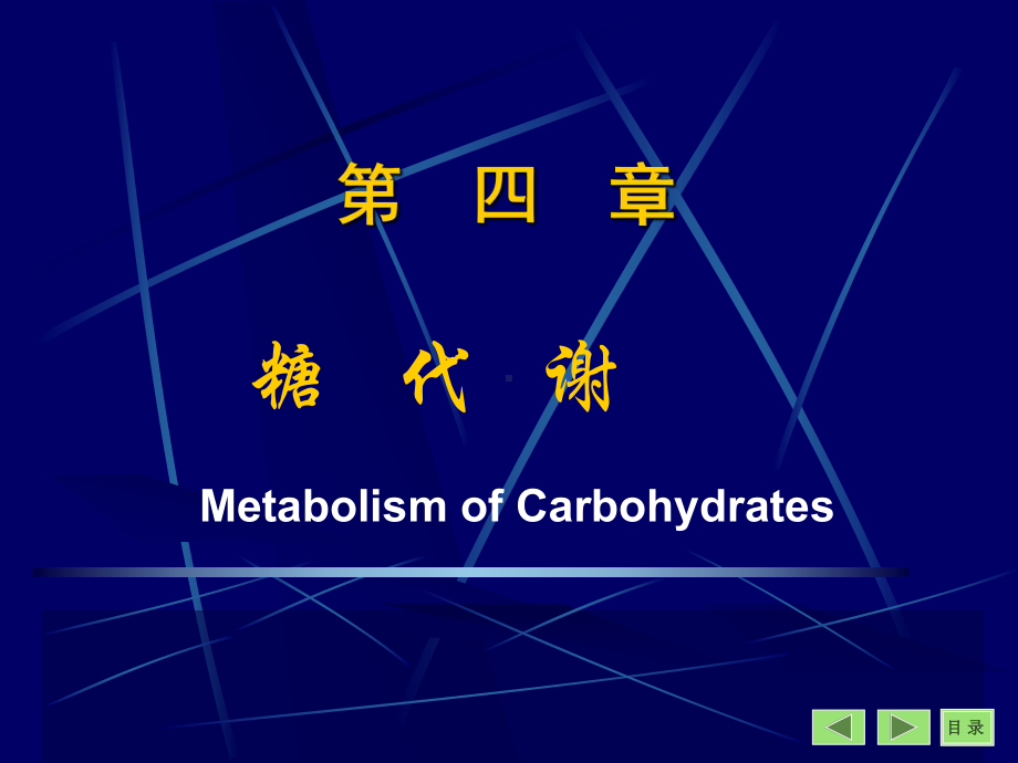 沈阳药科大学生物化学课件-第4章 糖代谢.ppt_第1页